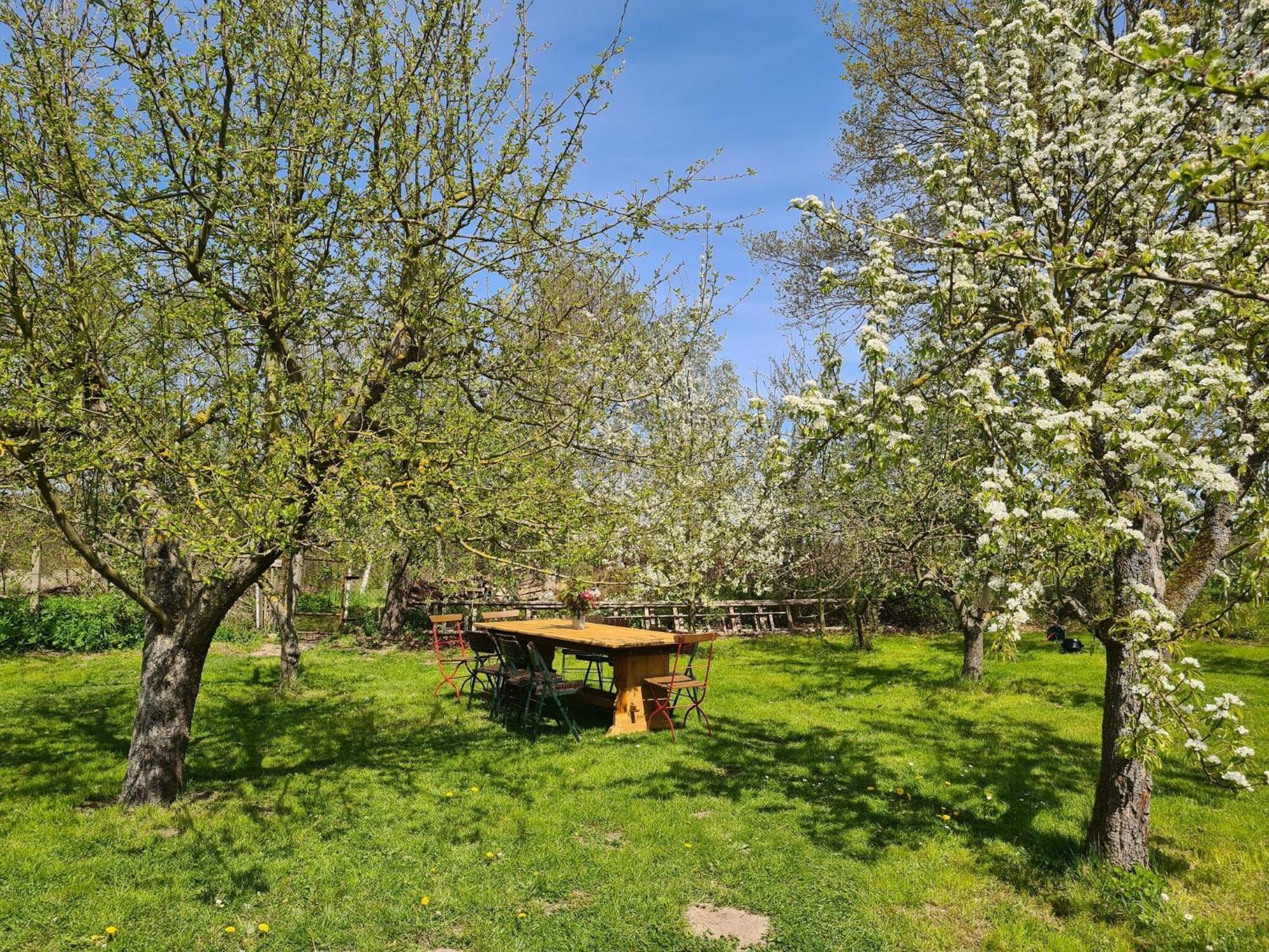 Renovated Apartment In The Old Farmhouse Krusenhagen Exteriör bild