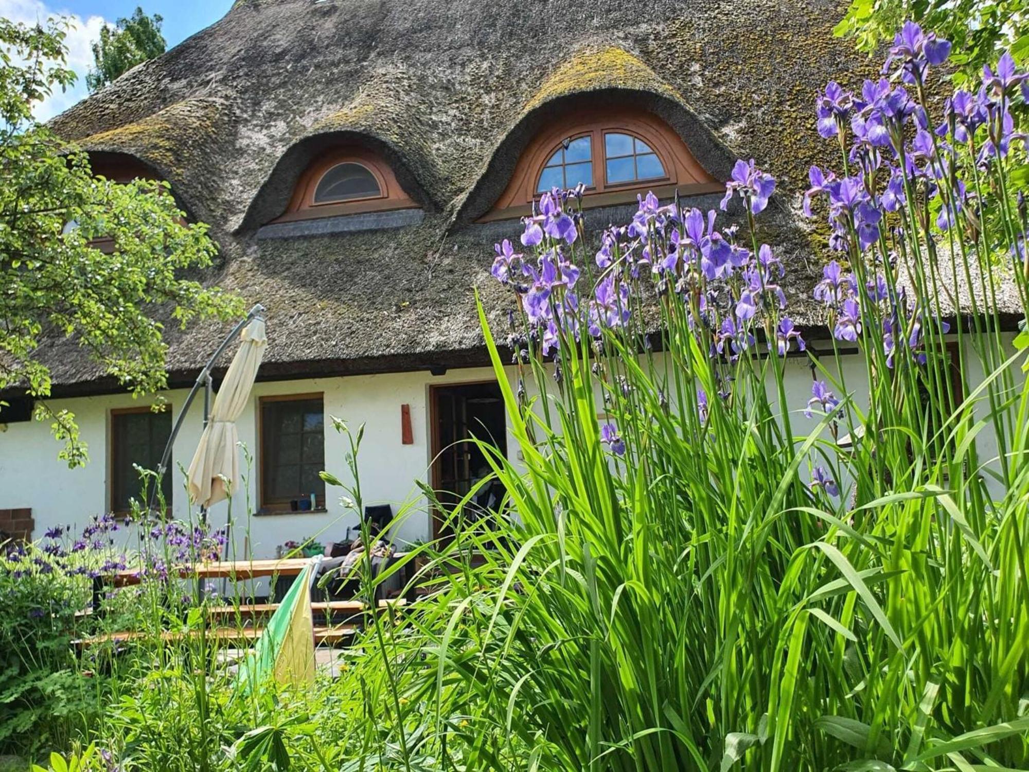 Renovated Apartment In The Old Farmhouse Krusenhagen Exteriör bild