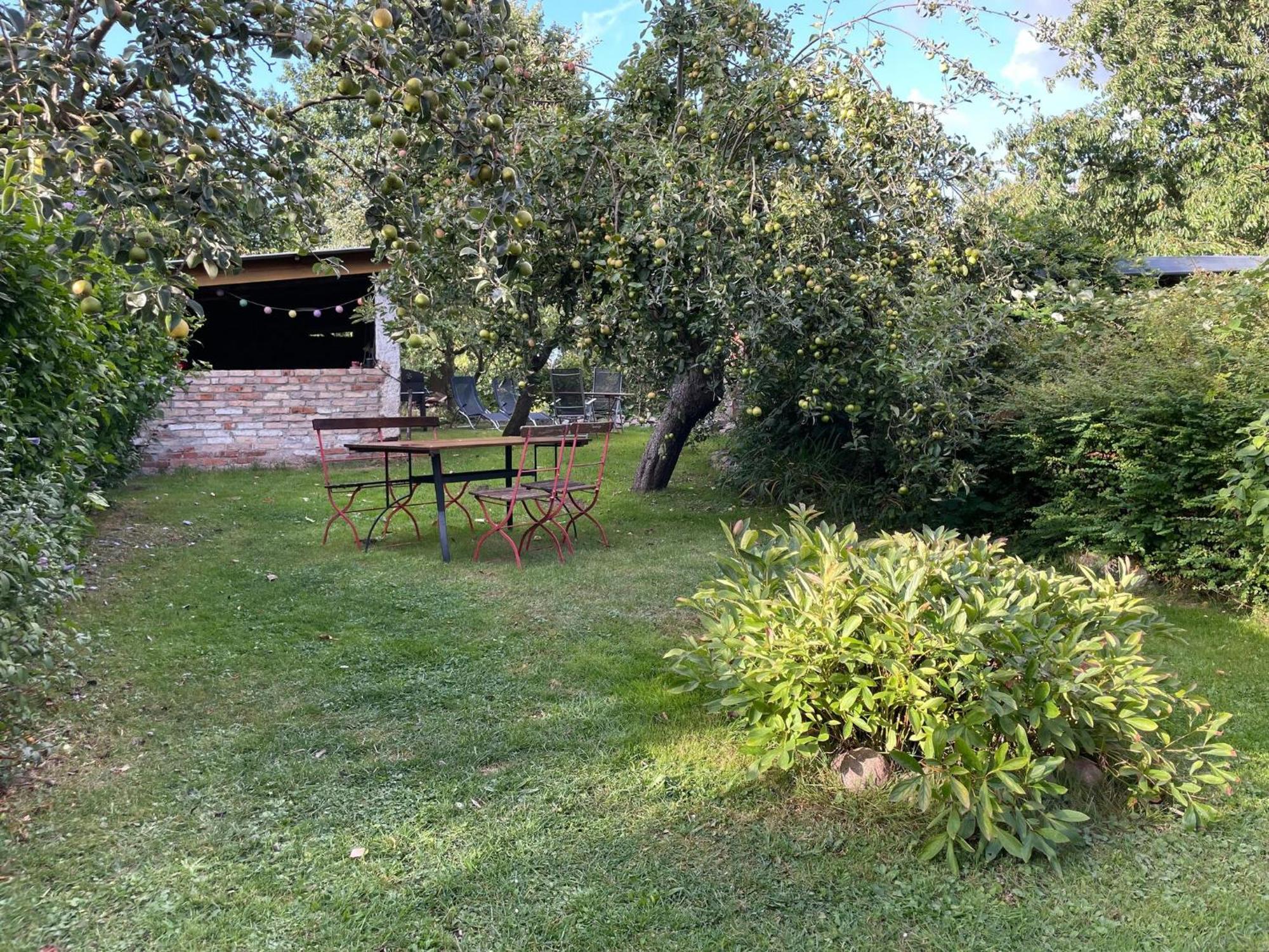 Renovated Apartment In The Old Farmhouse Krusenhagen Exteriör bild