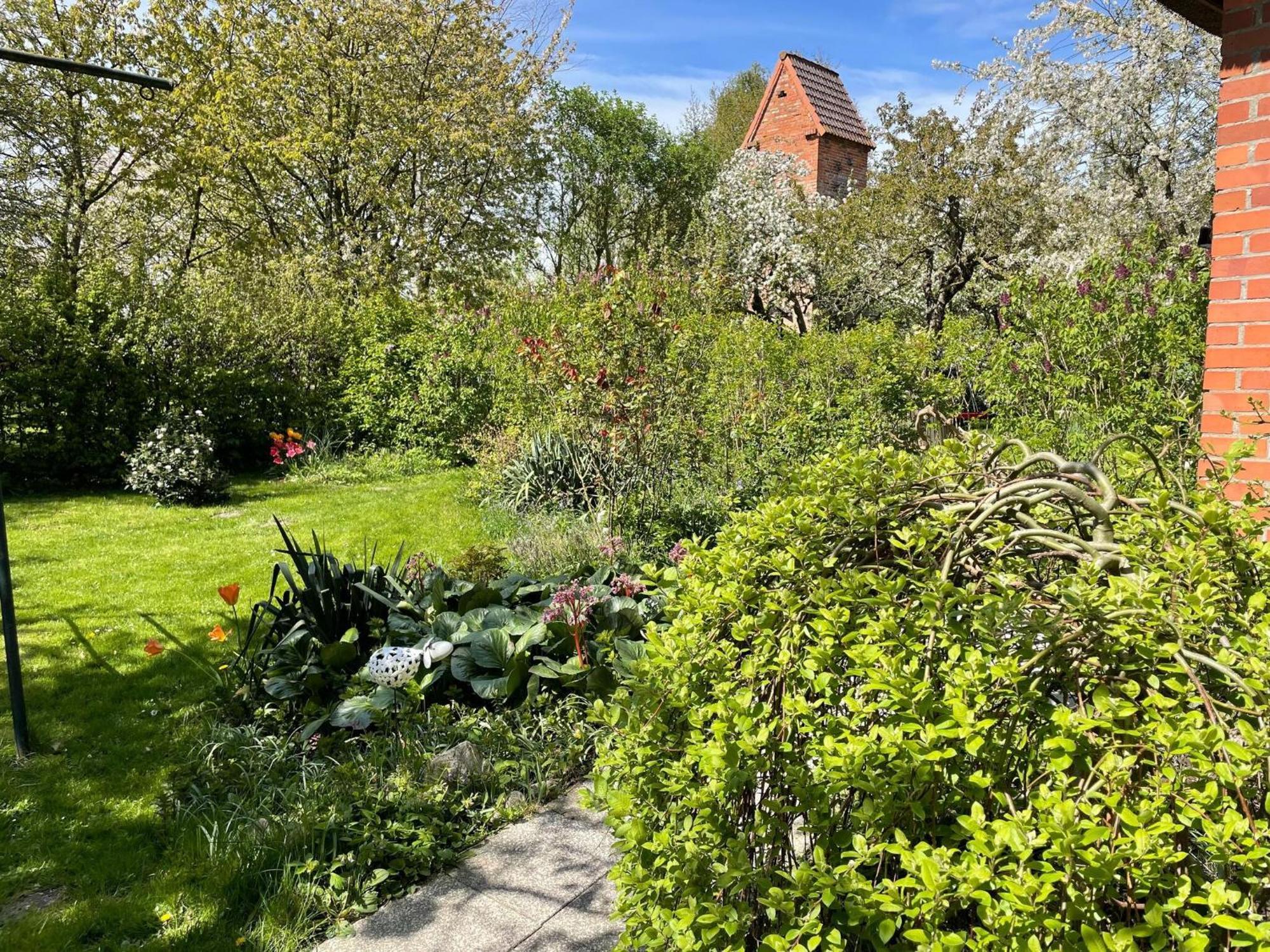 Renovated Apartment In The Old Farmhouse Krusenhagen Exteriör bild
